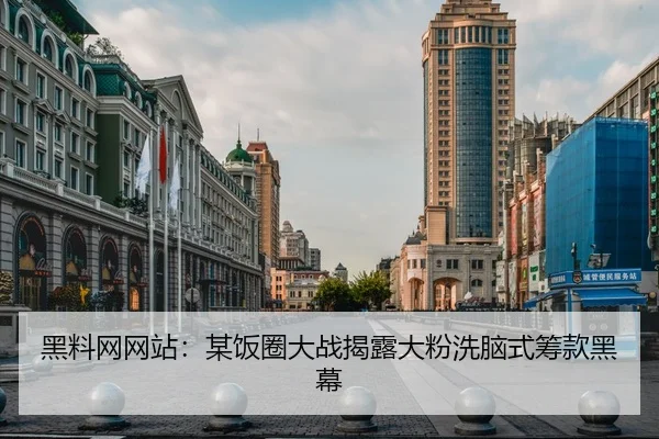 黑料网网站：某饭圈大战揭露大粉洗脑式筹款黑幕